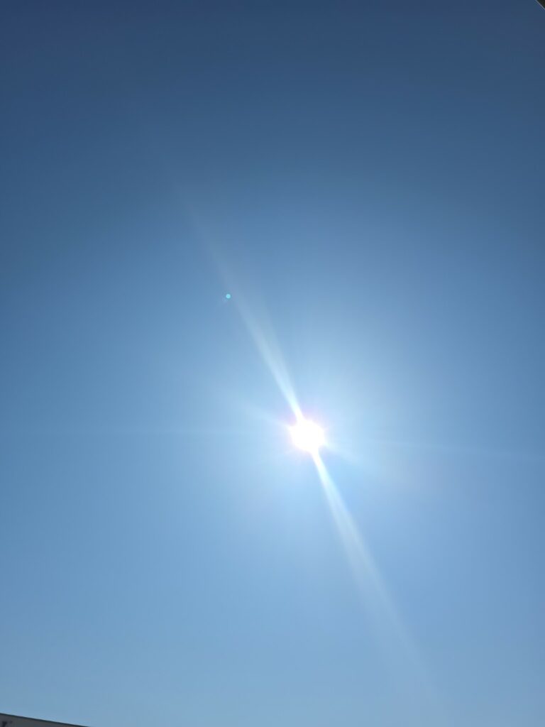 image-1785227021541-768x1024 Canicule en Belgique :
